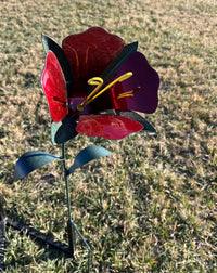 Trumpet Flower Baby